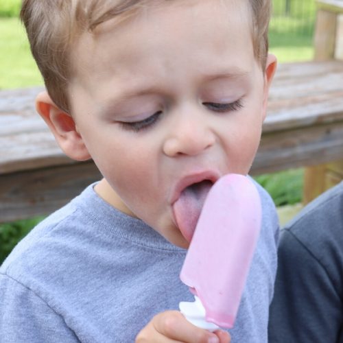 Easy Fruit and Yogurt Popsicles
